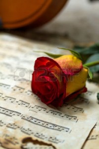 26230893-violin-sheet-music-and-rose-black-composition-still-life-music